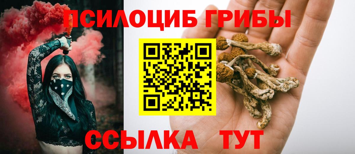 Псилоцибиновые грибы мухоморы  Псилоцибиновые грибы Cubensis  Семёнов  Вход с VPN 